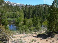 Beaver pond