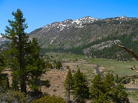 Leavitt Meadow from above Secret Lake