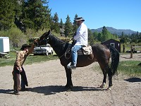 Stirrup adjustment