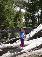 Lisa on a log