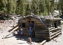 Abandoned prospector's cabin