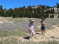 Kids in flowers