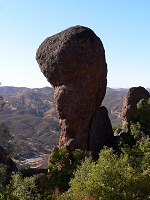 Stone head