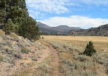 Old road on Leavitt Meadows