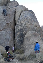 Hippo climbing