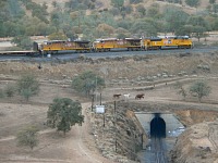 Tehachapi Loop offers trains for Tom and horses for Lisa.