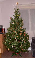 Our Christmas tree