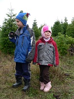 Kids picking a Christmas tree