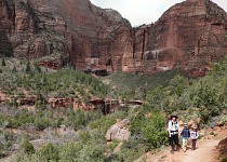 Emerald Pool Waterfalls