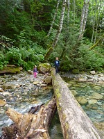 Říčka pod Shannon Falls PŘED pádem dětí.