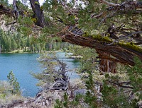 Roosevelt Lake