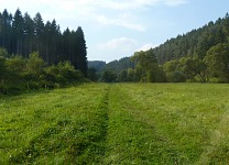 Louka v údolí Brtnice