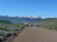 Opravdovské rodeo.