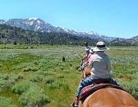 Rozkvetlá Leavitt Meadow.