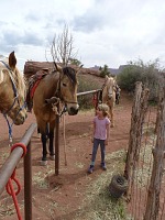 Lisa among horses at Hauer Ranch, Utah.