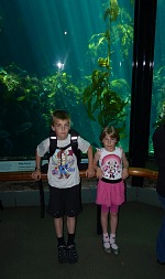 In Monterey Aquarium.