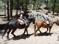 Returning to the pack station.