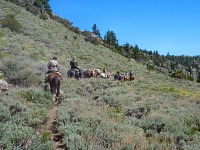 The lower part leads through a high mountain semi-desert.