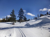 The track is quiet, no humming lifts, no screaming kids.