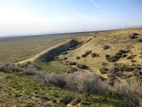 A creek over San Andreas Fault.