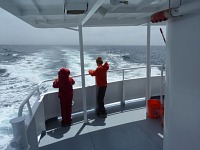 While I was cleaning out Kirkwood, the rest of our family went whale-watching in Monterey.