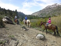 Kolem Leavitt Meadows.