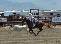 Ladies' ride - steer stopping.