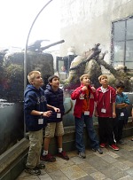 A field trip to Monterey Aquarium