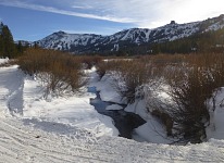 Cross-country meadow.