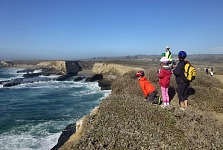 From the cliffs, you can watch birds and sea lions lounging on unaccessible beaches.