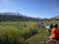 Na koních na Leavitt Meadows.