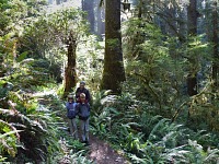 Family in a rain forest.