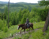 Tom on a horse in Montana