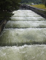 This is a water ladder for fish.