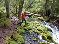 Tom headed for the edge of Clearwater Fall.