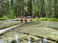 Wet-foot water-crossing competition.