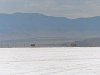 Between salt and Interstate 80.