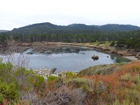 Point Lobos.