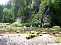 Water nymphs in Kamenice.