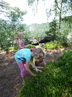 Blueberries were a greater lure than overlooks.