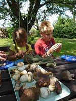 Gathering, cleaning and drying of mushrooms became a great attraction.