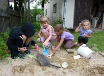 A pack (kitten included) in a sand box.