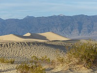 We are headed for the tallest dune.