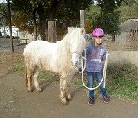 Sugar Baby walking with Lisa.