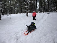 We got the kids a sleigh.