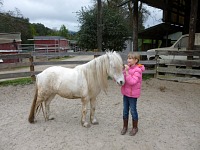 Lisa has learned to deal with the anxious little horse.