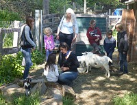 I had spend the first half of my birthday in a goat pen.