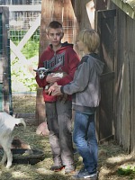 Walker the baby goat does not mind at all that the human boys talk about tank game battles.