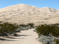 Kelso Dunes - nejvyšší duna vypadá blízko a dosažitelně.