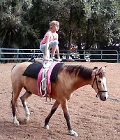 Lisa continues in vaulting.